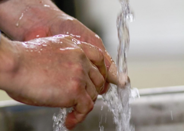 Examining Eczema Skin Conditions: Can Softer Water Help?