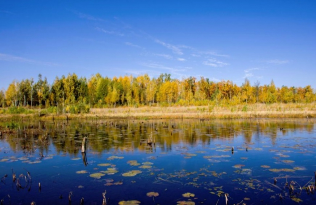 The Biggest Pollutant Threats for Canadian Lakes