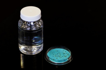 Will a Water Softener Kill Bacteria?