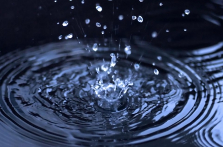 A Brief Primer on Rainwater Harvesting
