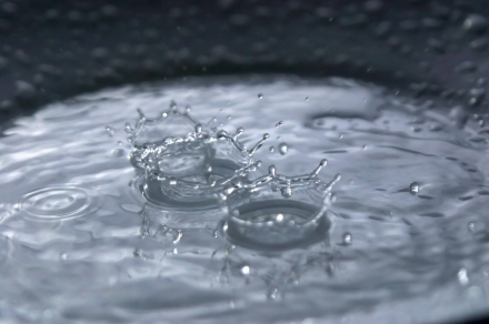 Understanding Rainwater Harvesting