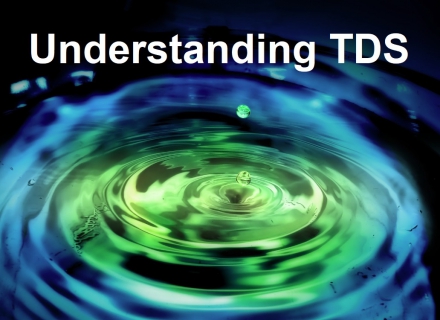 Understanding TDS