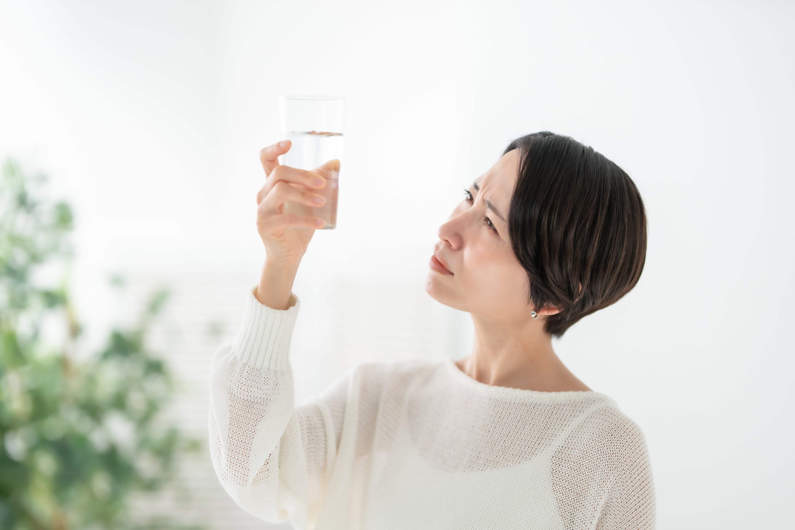 Foul odours and tastes in water